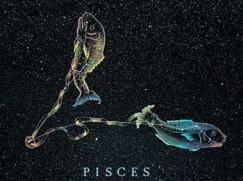 Astrology Zodiac Sign Pisces Horoscope Astrological Fish Details about   Champagne Glass 